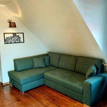 Apartament Gdansk'A Apartman Nowy Dwór Gdański Kültér fotó