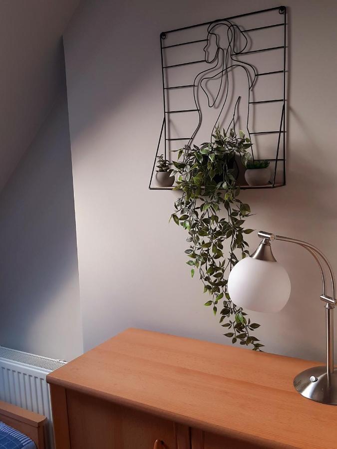Apartament Gdansk'A Apartman Nowy Dwór Gdański Kültér fotó